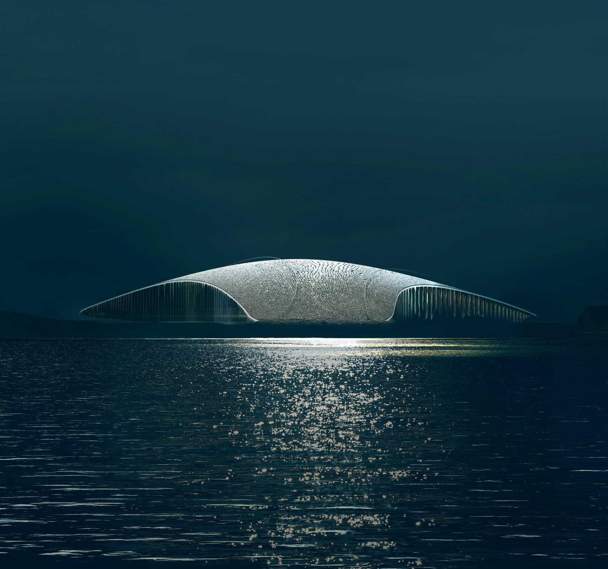 One Day, a Project : The Whale by Dorte Mandrup